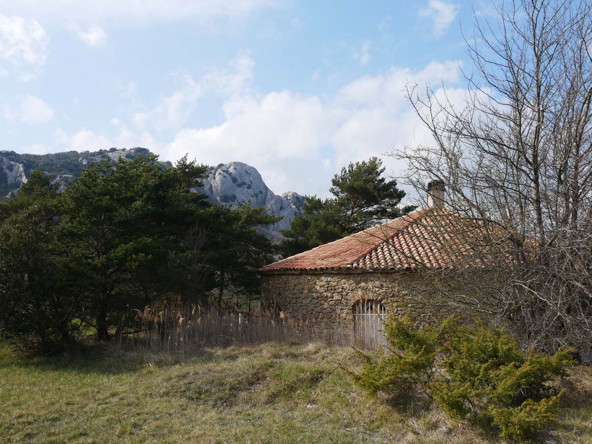 Paysage et architecture face au changement climatique